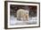 Polar Bear in the Brush-Howard Ruby-Framed Photographic Print