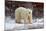 Polar Bear in the Brush-Howard Ruby-Mounted Photographic Print