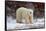 Polar Bear in the Brush-Howard Ruby-Framed Stretched Canvas