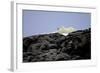 Polar Bear in the North Pole-Françoise Gaujour-Framed Photographic Print