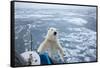 Polar Bear Leaning on Bowsprit on Ice-Paul Souders-Framed Stretched Canvas