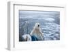 Polar Bear Leaning on Bowsprit on Ice-Paul Souders-Framed Photographic Print