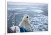 Polar Bear Leaning on Bowsprit on Ice-Paul Souders-Framed Photographic Print