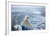 Polar Bear Leaning on Bowsprit on Ice-Paul Souders-Framed Photographic Print