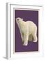 Polar Bear - Letterpress-Lantern Press-Framed Art Print