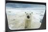 Polar Bear Looking into Boat Window, Nunavut, Canada-Paul Souders-Mounted Photographic Print