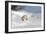 Polar Bear Love-Howard Ruby-Framed Photographic Print