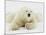 Polar bear lying in snow-John Conrad-Mounted Photographic Print