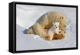 Polar Bear Mom an Cub-Howard Ruby-Framed Stretched Canvas