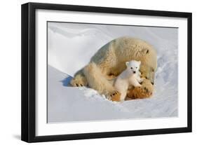 Polar Bear Mom an Cub-Howard Ruby-Framed Premium Photographic Print