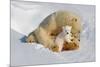 Polar Bear Mom an Cub-Howard Ruby-Mounted Photographic Print