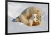 Polar Bear Mom an Cub-Howard Ruby-Framed Photographic Print