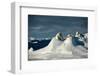 Polar bear mother and cubs on mounds of snow, Greenland-Uri Golman-Framed Photographic Print