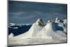 Polar bear mother and cubs on mounds of snow, Greenland-Uri Golman-Mounted Photographic Print