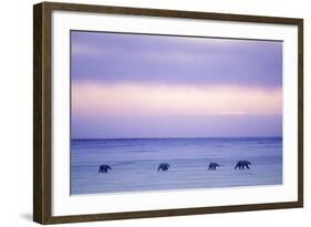 Polar Bear Mother and Yearling Cubs-null-Framed Photographic Print