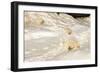 Polar Bear Mother with Cubs Sliding from Winter Den-null-Framed Photographic Print