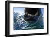 Polar Bear, Nunavut, Canada-Paul Souders-Framed Photographic Print