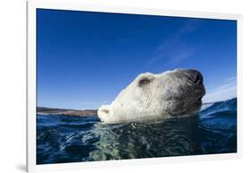 Polar Bear, Nunavut, Canada-Paul Souders-Framed Photographic Print