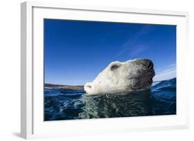 Polar Bear, Nunavut, Canada-Paul Souders-Framed Photographic Print