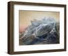 Polar Bear on an Iceberg-William Bradford-Framed Giclee Print