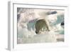 Polar Bear on Floating Ice, Davis Strait, Labrador See, Labrador, Canada, North America-Gabrielle and Michel Therin-Weise-Framed Photographic Print