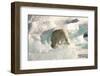 Polar Bear on Floating Ice, Davis Strait, Labrador See, Labrador, Canada, North America-Gabrielle and Michel Therin-Weise-Framed Photographic Print