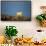 Polar Bear on Harbour Islands, Hudson Bay, Nunavut, Canada-Paul Souders-Framed Stretched Canvas displayed on a wall