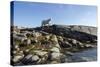 Polar Bear on Harbour Islands, Hudson Bay, Nunavut, Canada-Paul Souders-Stretched Canvas