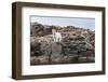 Polar Bear on Harbour Islands, Hudson Bay, Nunavut, Canada-Paul Souders-Framed Photographic Print