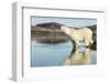 Polar Bear on Harbour Islands, Hudson Bay, Nunavut, Canada-Paul Souders-Framed Photographic Print