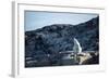 Polar Bear on Harbour Islands, Hudson Bay, Nunavut, Canada-Paul Souders-Framed Photographic Print