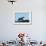 Polar Bear on Harbour Islands, Hudson Bay, Nunavut, Canada-Paul Souders-Framed Photographic Print displayed on a wall