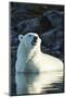 Polar Bear on Harbour Islands, Hudson Bay, Nunavut, Canada-Paul Souders-Mounted Photographic Print