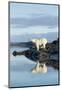 Polar Bear on Harbour Islands, Hudson Bay, Nunavut, Canada-Paul Souders-Mounted Photographic Print