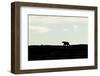 Polar Bear on Harbour Islands, Hudson Bay, Nunavut, Canada-Paul Souders-Framed Photographic Print