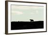 Polar Bear on Harbour Islands, Hudson Bay, Nunavut, Canada-Paul Souders-Framed Photographic Print