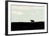 Polar Bear on Harbour Islands, Hudson Bay, Nunavut, Canada-Paul Souders-Framed Photographic Print