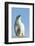 Polar Bear on Harbour Islands, Hudson Bay, Nunavut, Canada-Paul Souders-Framed Photographic Print