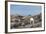 Polar Bear on Harbour Islands, Hudson Bay, Nunavut, Canada-Paul Souders-Framed Photographic Print