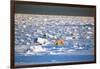 Polar Bear on Hudson Bay Ice-Howard Ruby-Framed Photographic Print