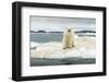 Polar Bear on Hudson Bay Pack Ice, Nunavut, Canada-Paul Souders-Framed Photographic Print