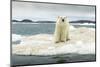 Polar Bear on Hudson Bay Pack Ice, Nunavut, Canada-Paul Souders-Mounted Photographic Print