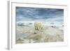 Polar Bear on Hudson Bay Sea Ice, Nunavut Territory, Canada-Paul Souders-Framed Photographic Print