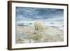 Polar Bear on Hudson Bay Sea Ice, Nunavut Territory, Canada-Paul Souders-Framed Photographic Print