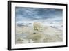 Polar Bear on Hudson Bay Sea Ice, Nunavut Territory, Canada-Paul Souders-Framed Photographic Print