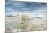 Polar Bear on Hudson Bay Sea Ice, Nunavut Territory, Canada-Paul Souders-Mounted Photographic Print