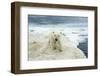 Polar Bear on Hudson Bay Sea Ice, Nunavut Territory, Canada-Paul Souders-Framed Photographic Print