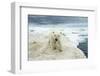 Polar Bear on Hudson Bay Sea Ice, Nunavut Territory, Canada-Paul Souders-Framed Photographic Print