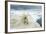 Polar Bear on Hudson Bay Sea Ice, Nunavut Territory, Canada-Paul Souders-Framed Photographic Print