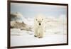 Polar Bear on Hudson Bay Sea Ice, Nunavut Territory, Canada-Paul Souders-Framed Photographic Print